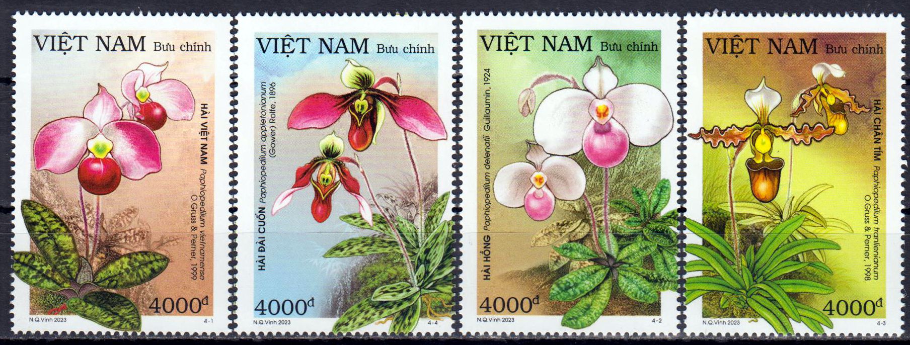 Orchideen 2023
