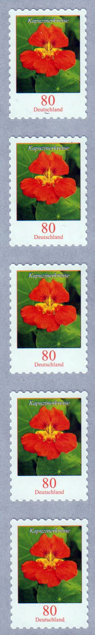 Dauer: Kapuzinerkresse 2019, sk, als 5er-Streifen