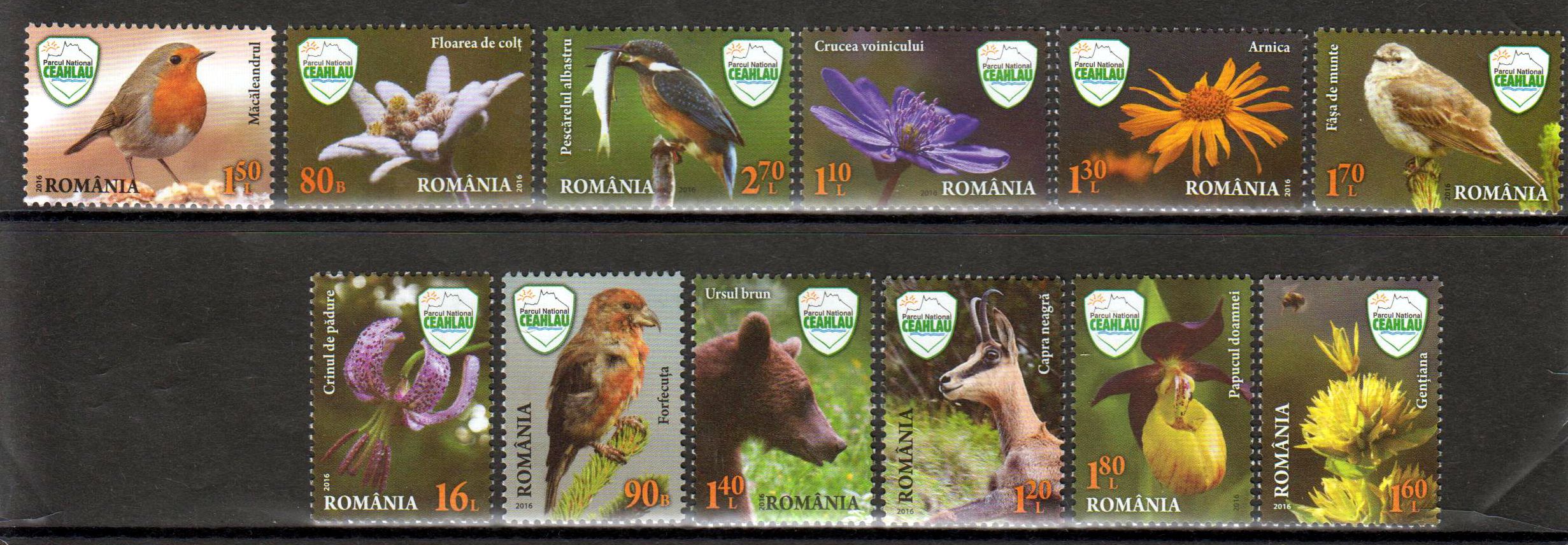 Ceahla Nationalpark, Blumen, Tiere