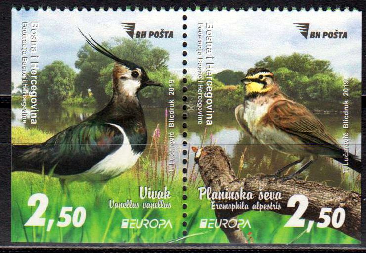 Europa 2019, Vögel, a. MH