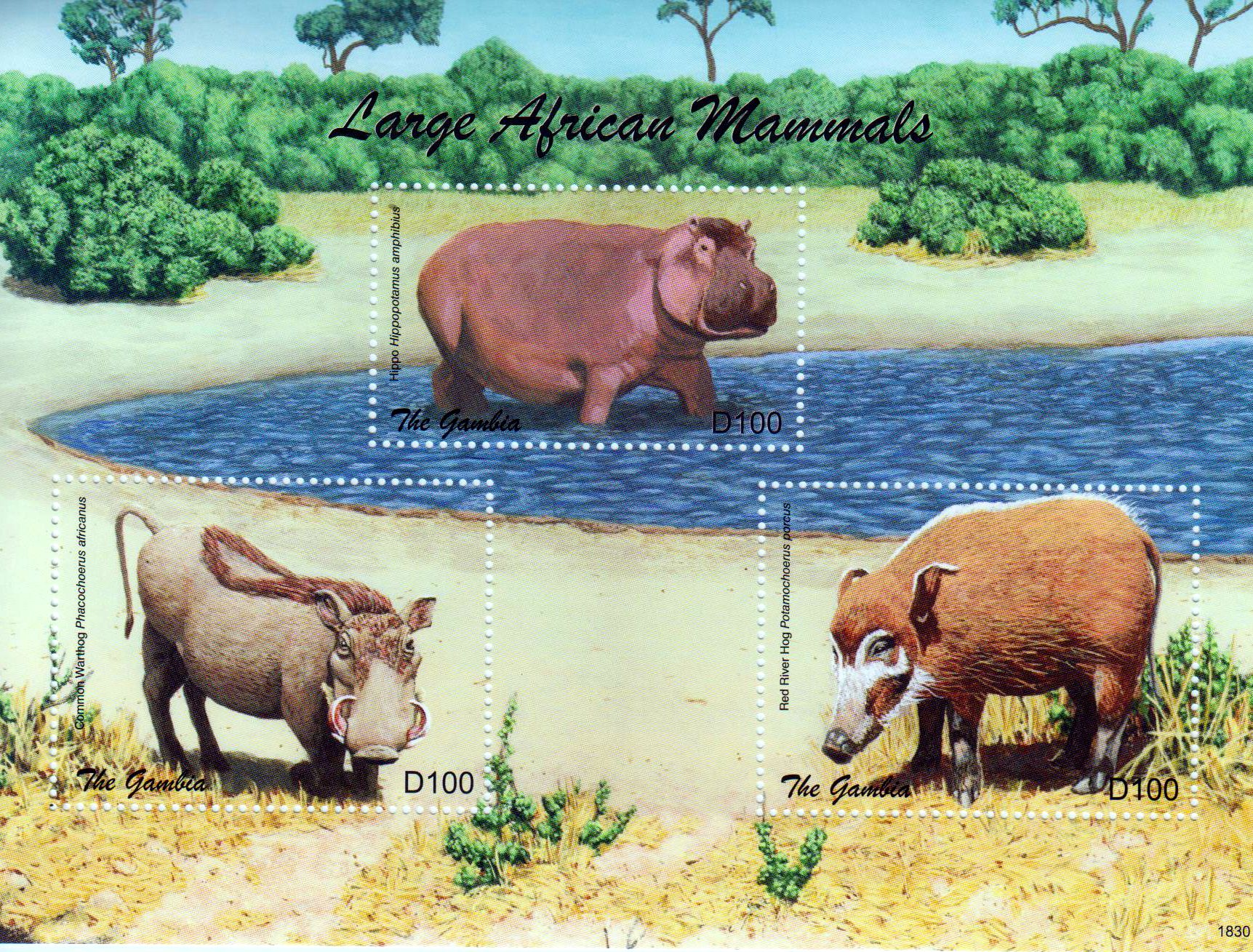 Große Landsäugetiere, Flusspferd