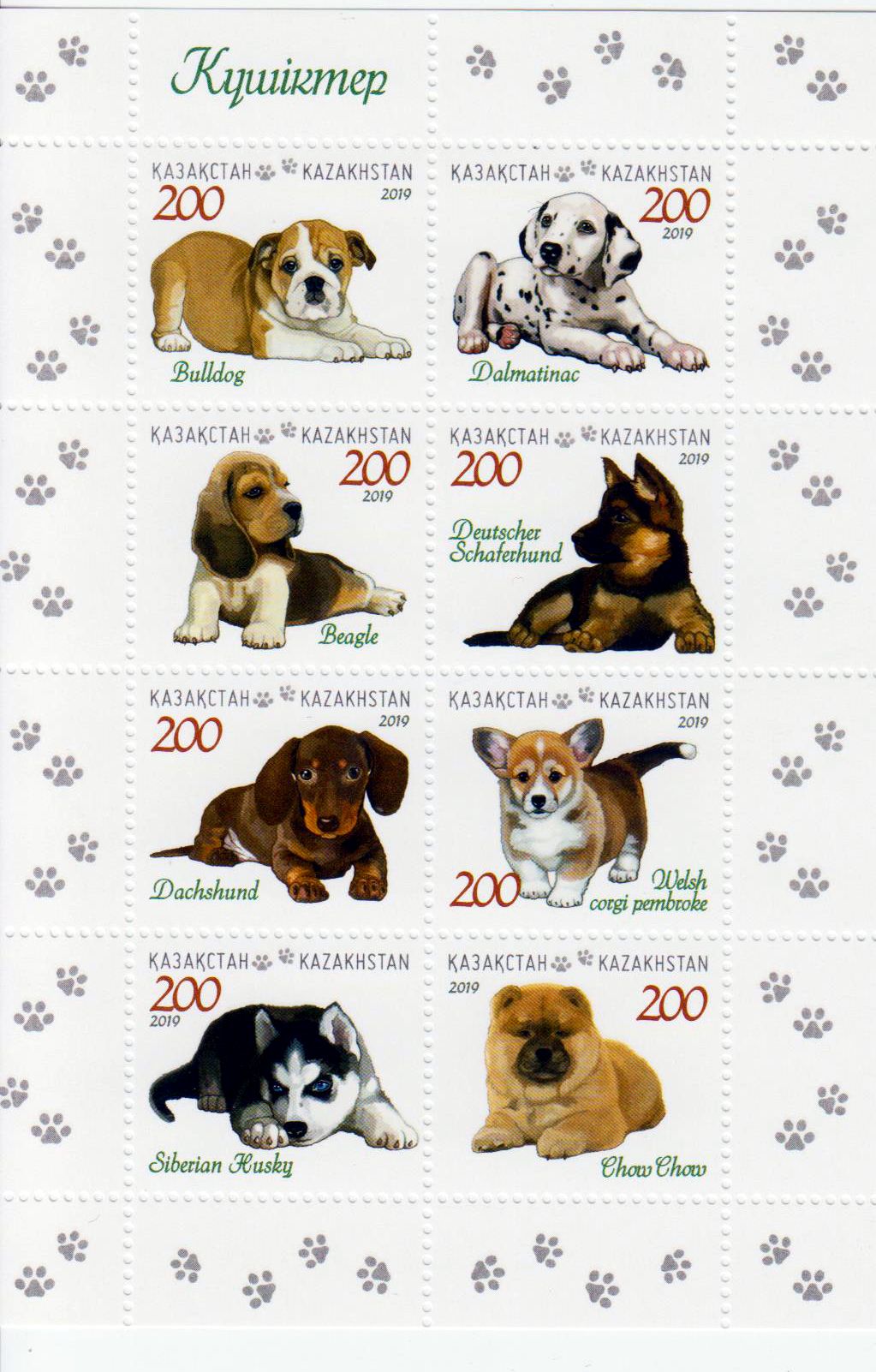 Zdr. Hunde 2019, Bulldoge, Husky, Dalmatiner