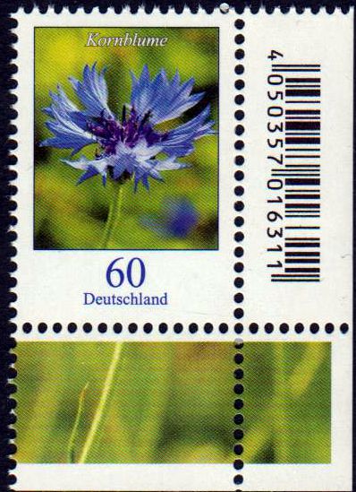 Dauer: Kornblume 2019, als Eckrandstück mit Code