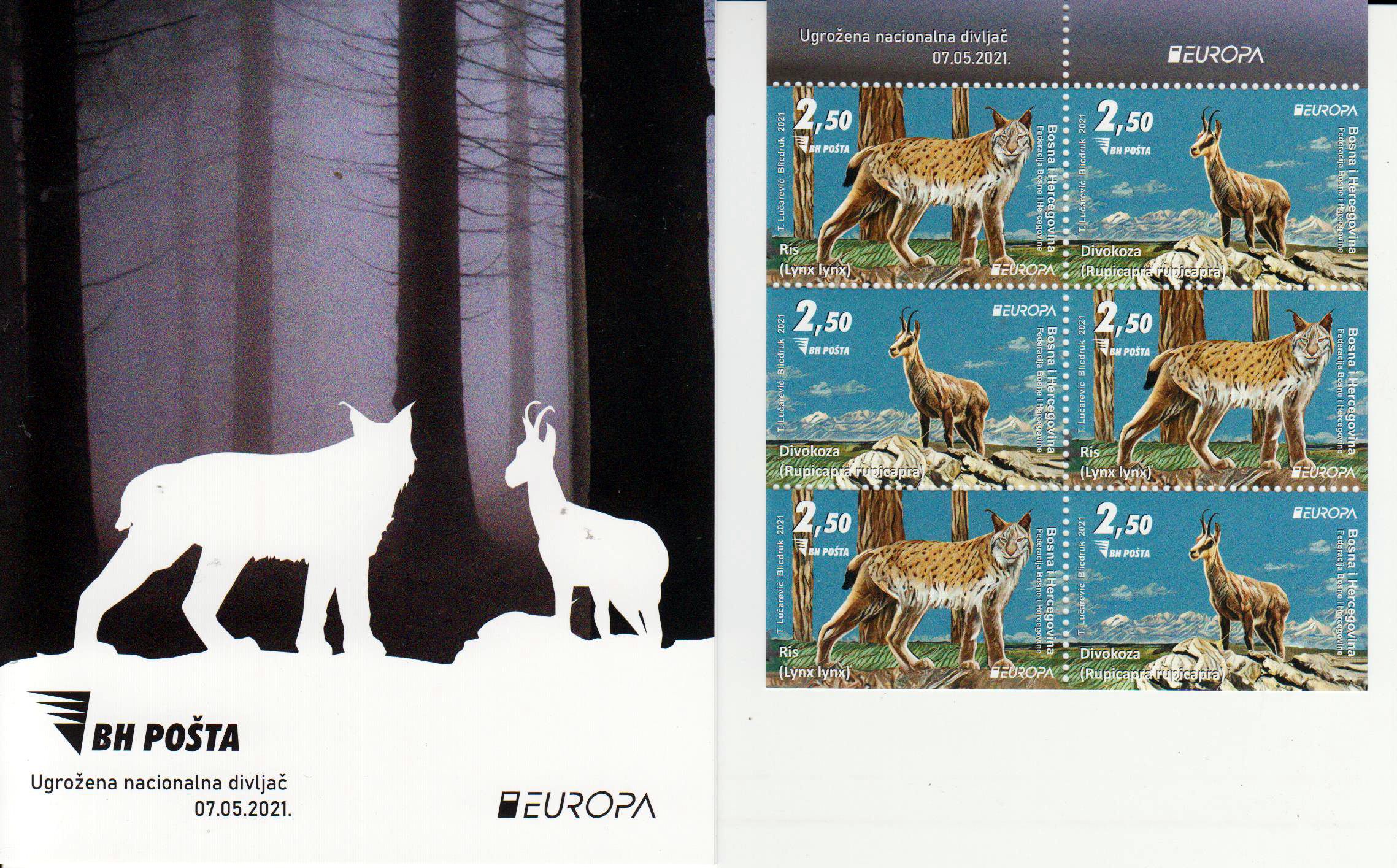 Europa 2021, Luchs Gämse