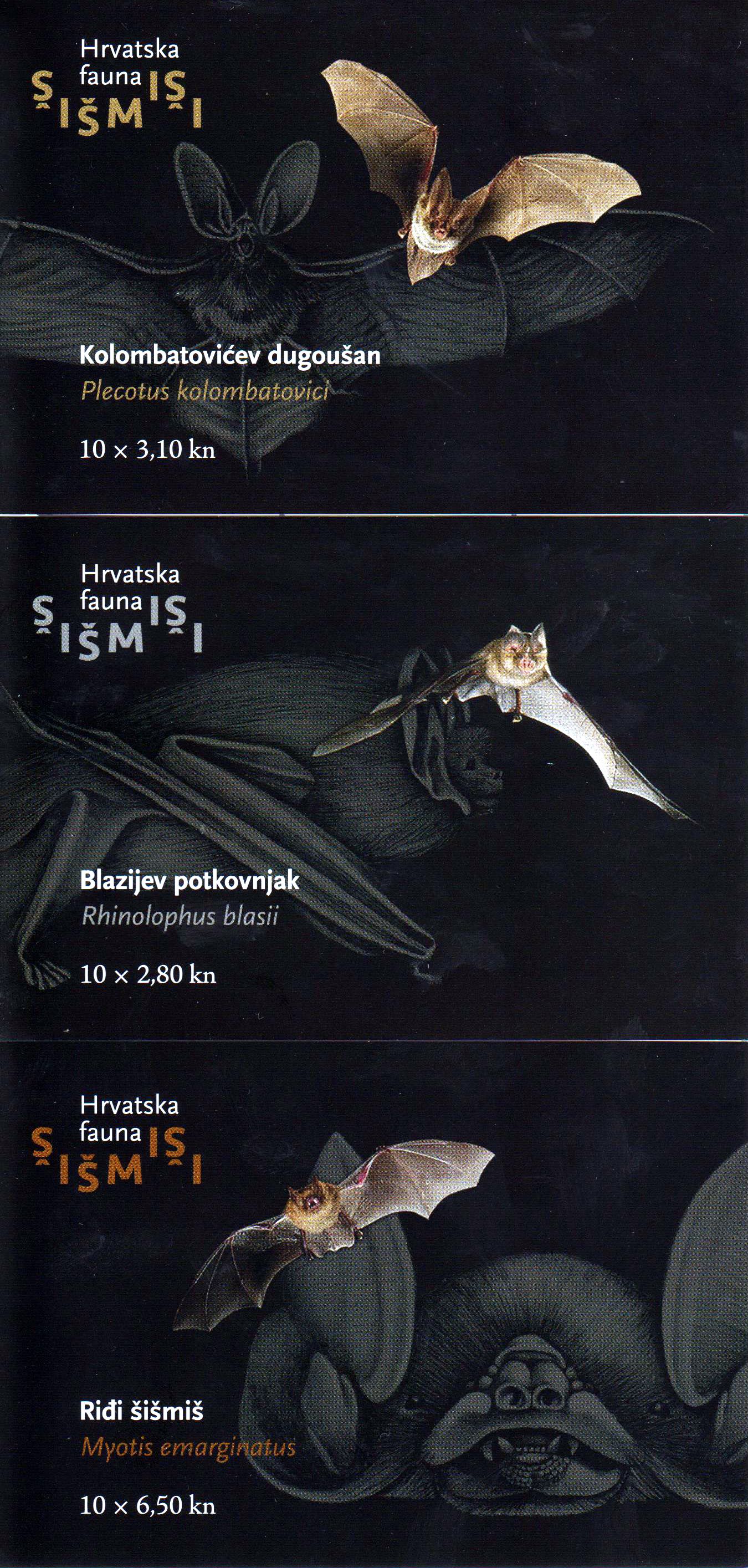 Fledermäuse 2017