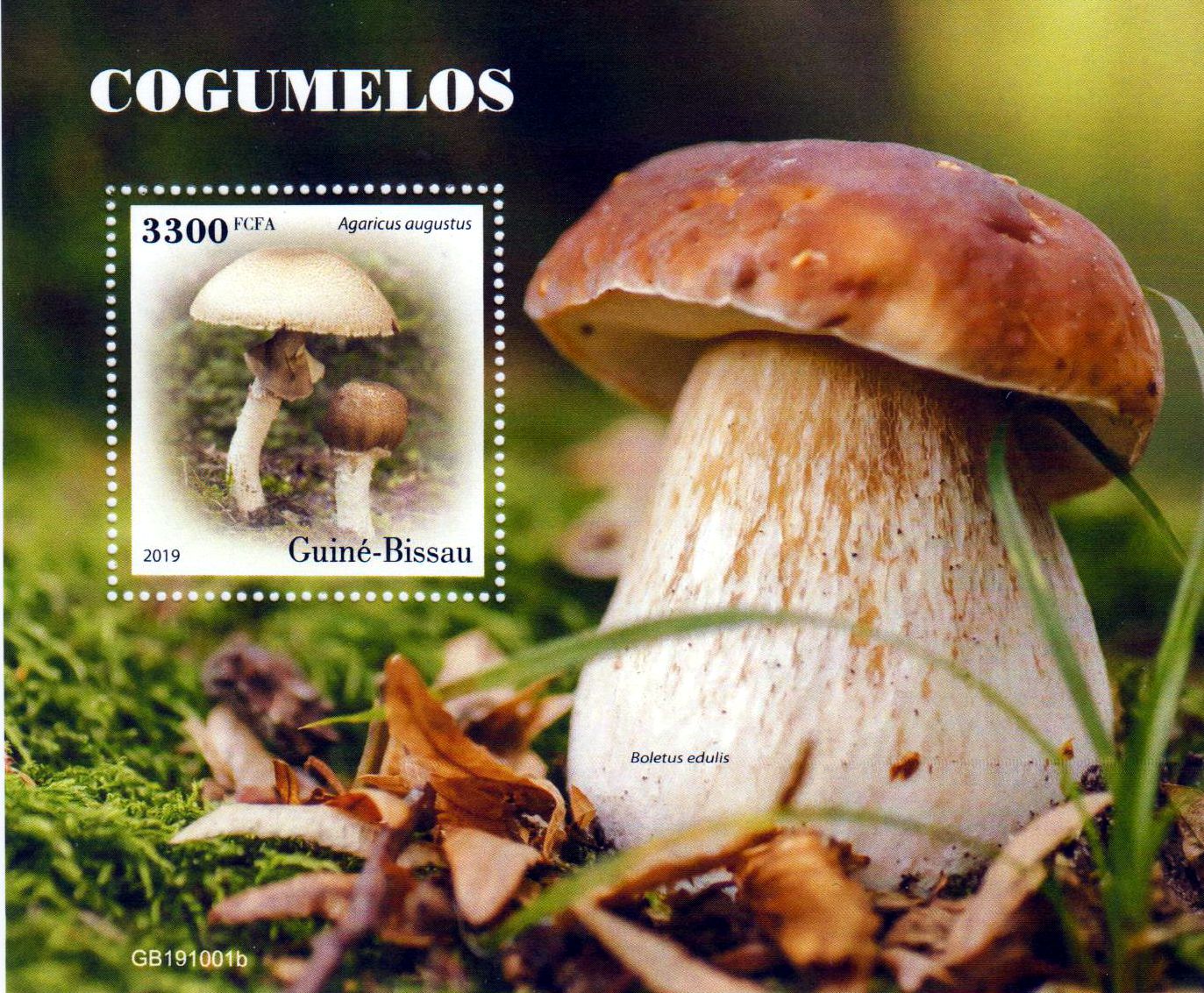 Block: Pilze 2019, Riesen -Champignon