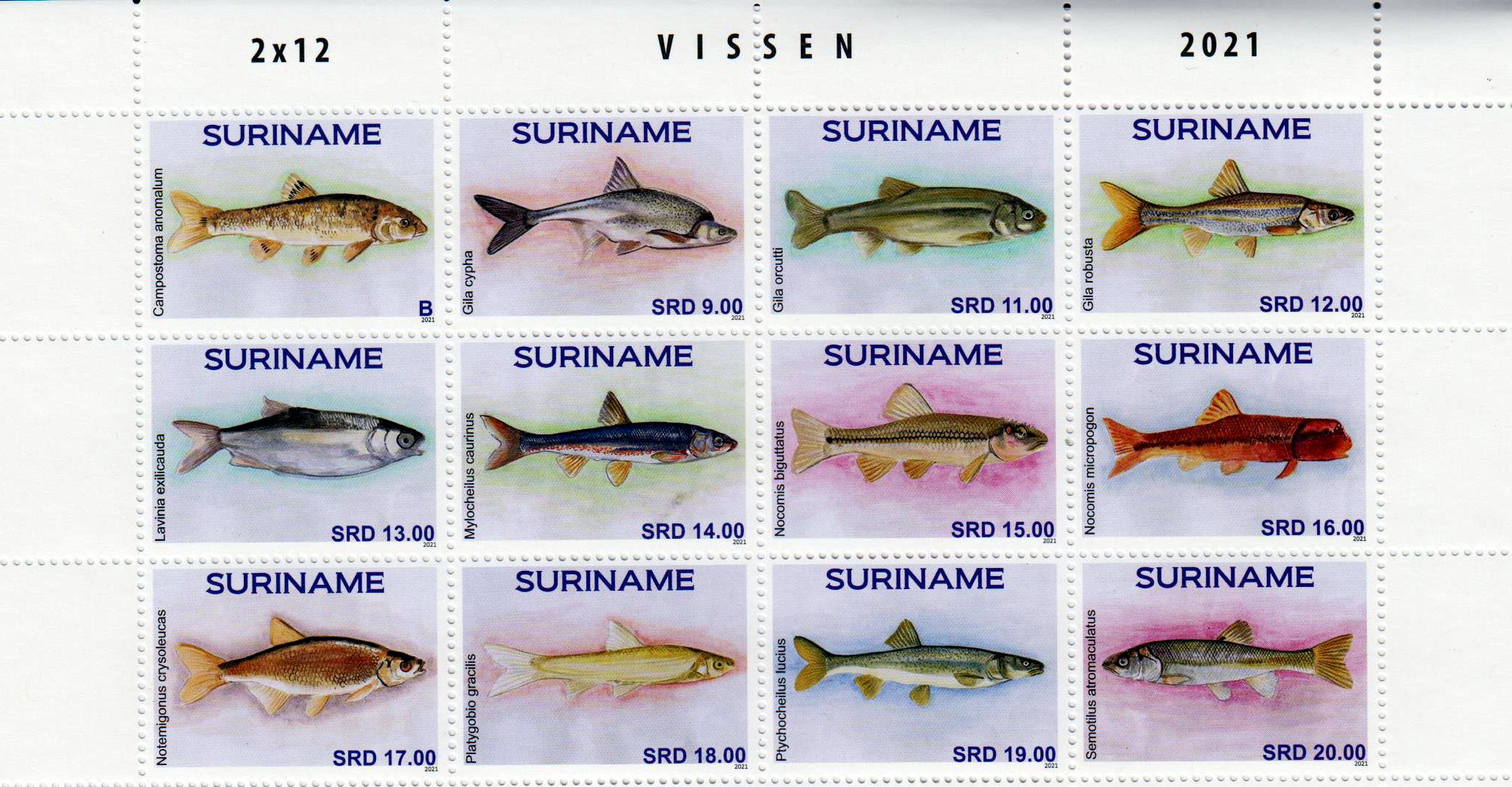 Fische 2021