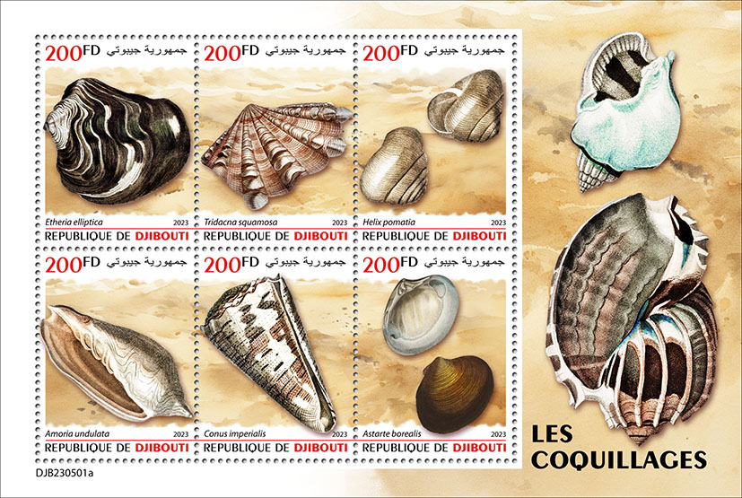 Muscheln 2023