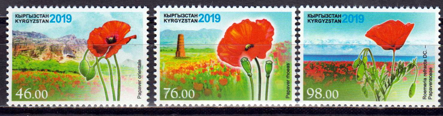 Mohn 2019