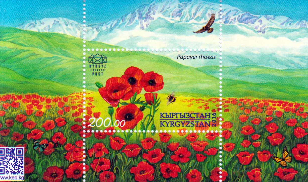 Block: Flora, Mohnblumen