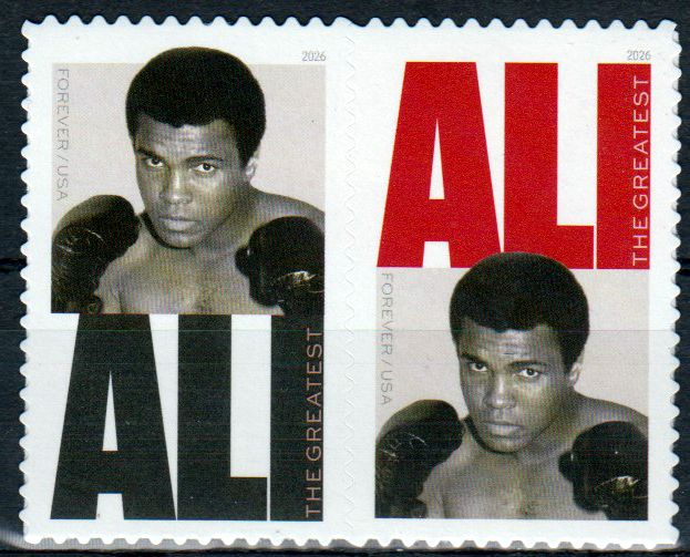 Muhammad Ali 2026, sk