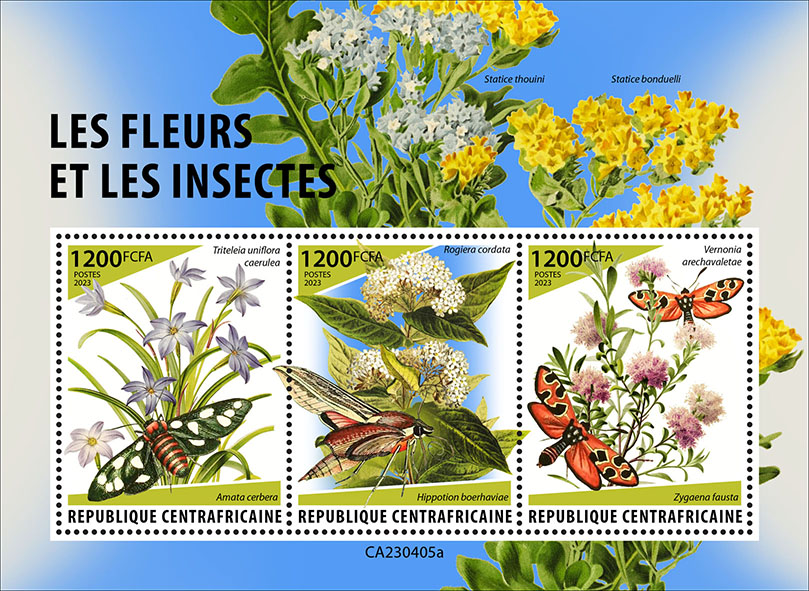 Blumen und Insekten 2023