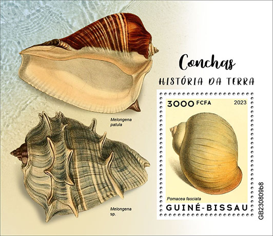 Block: Geschichte 2023, Muscheln