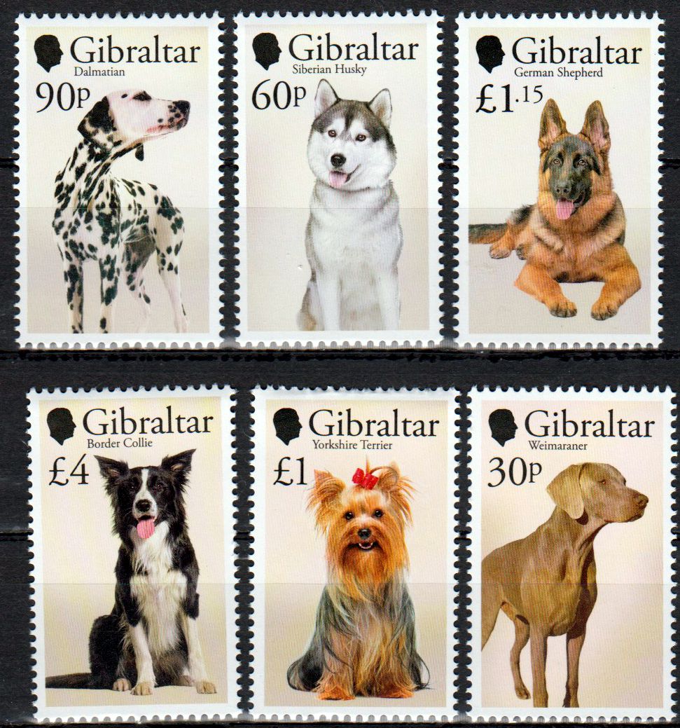 Hunde 2026, Collie, Terrier, Weimaraner, Husky