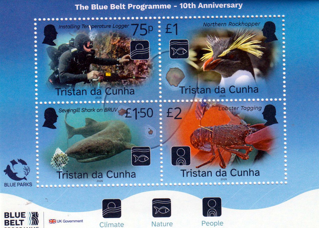 Block: 10 Jahre Programm Blauer Gürtel 2026