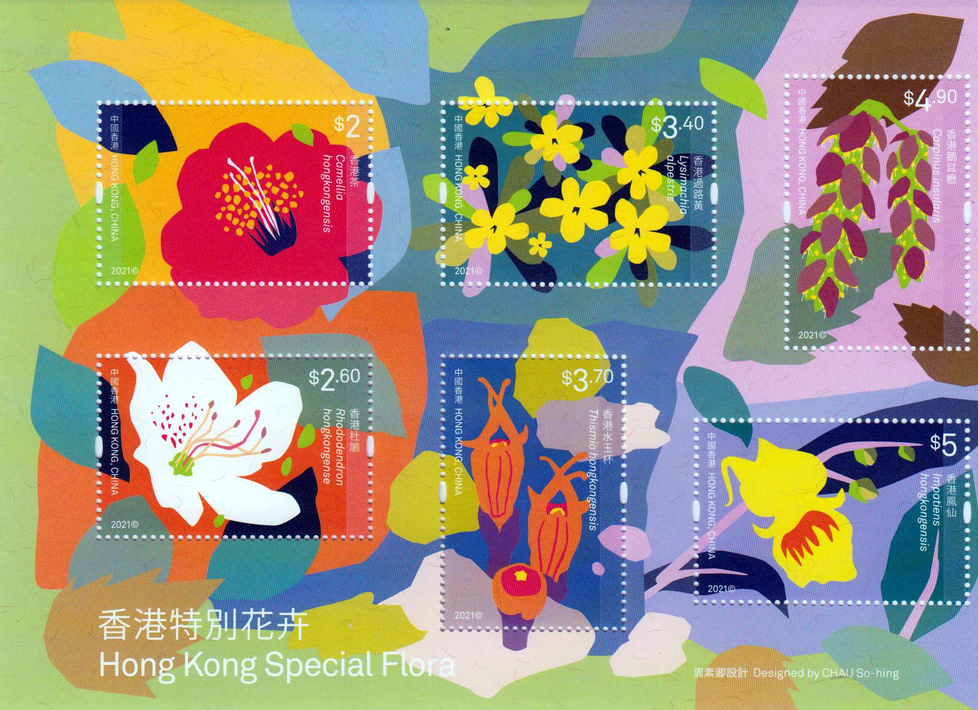 Block: Flora 2021, Blumen