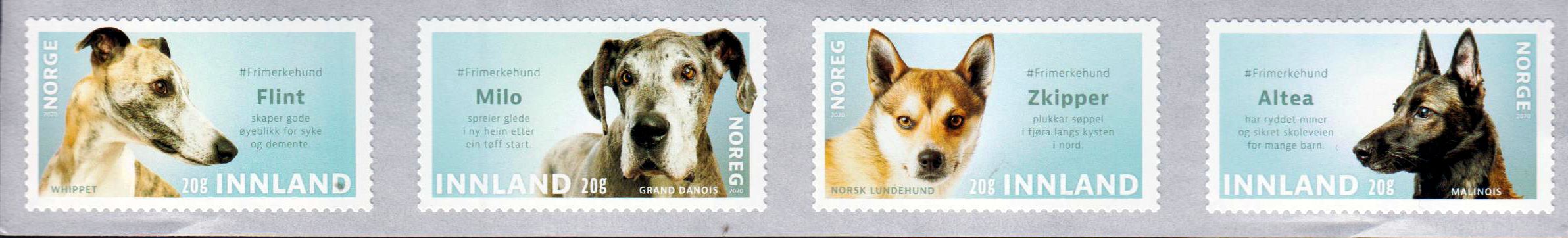 Hunde 2020, sk