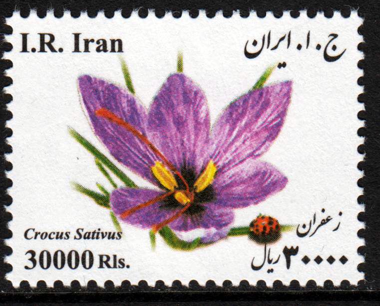 Med. Pflanzen 2016 (16P01)
