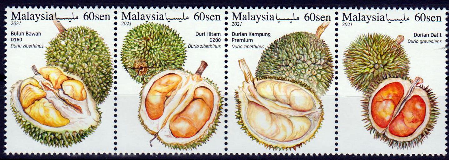Durian- König der Früchte 2021