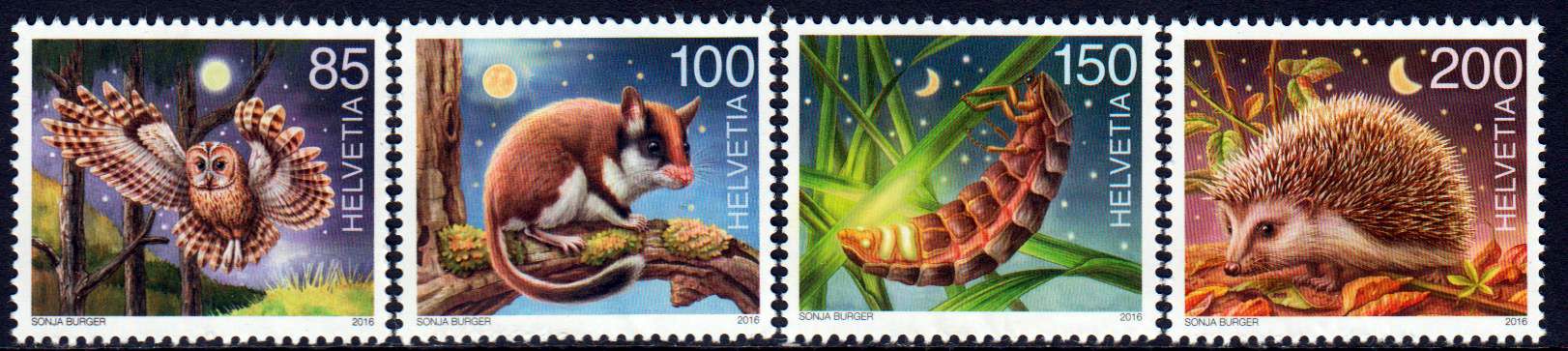 Nachtaktive Tiere, Igel, Eule usw. (P12)