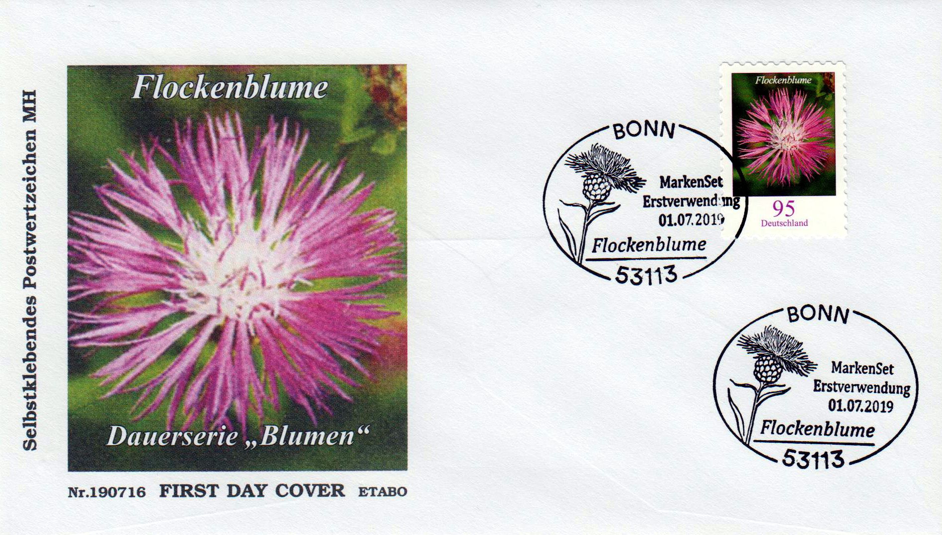 Dauer: Flockenblume 2019, sk aus MH