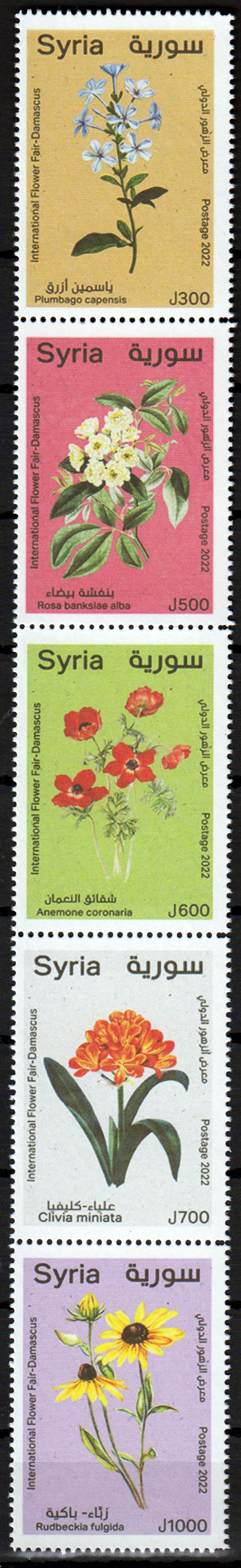 Blumen 2022