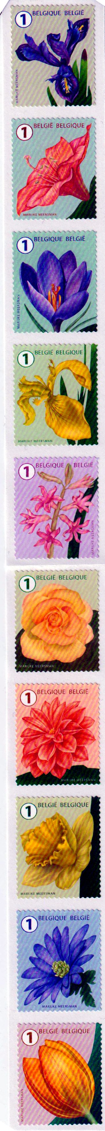 Blumen 2016, sk,  v. Rolle