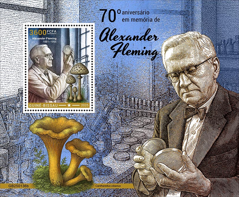 Block: Alexander Fleming 2025