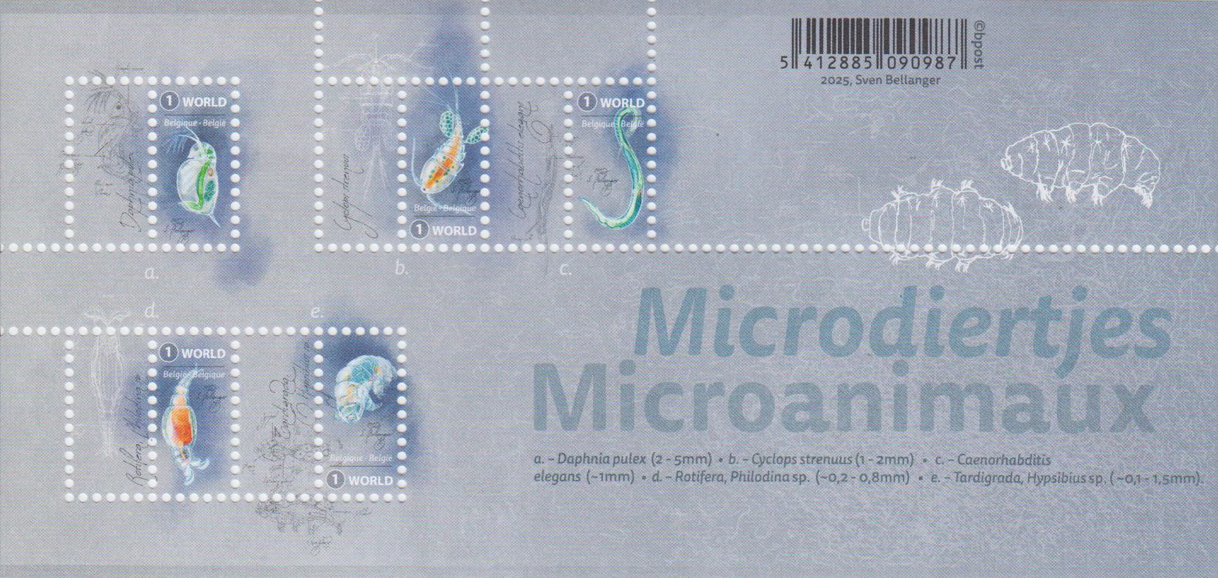 Block: Mikrotiere 2025