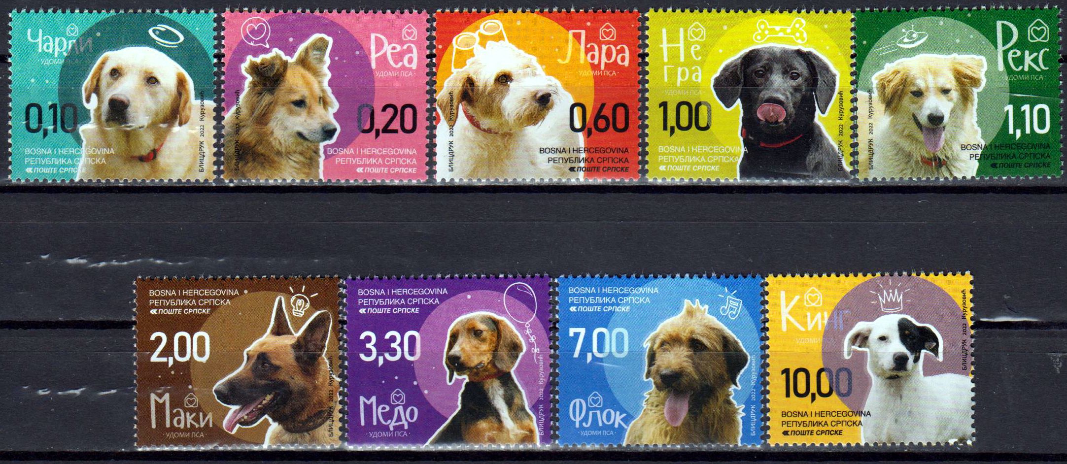 Hunde 2022