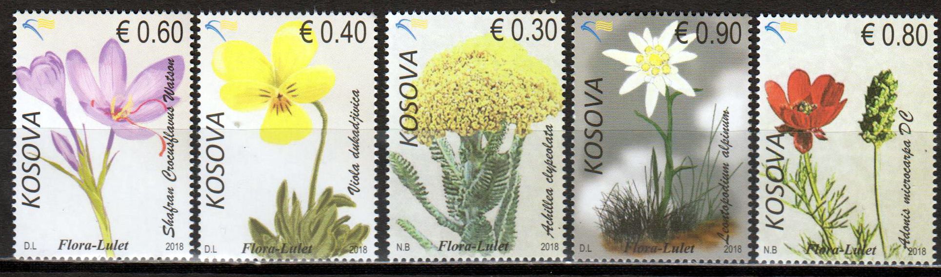Flora 2018, Blumen