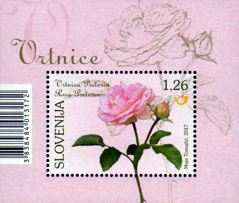 Block: Rosen 2017