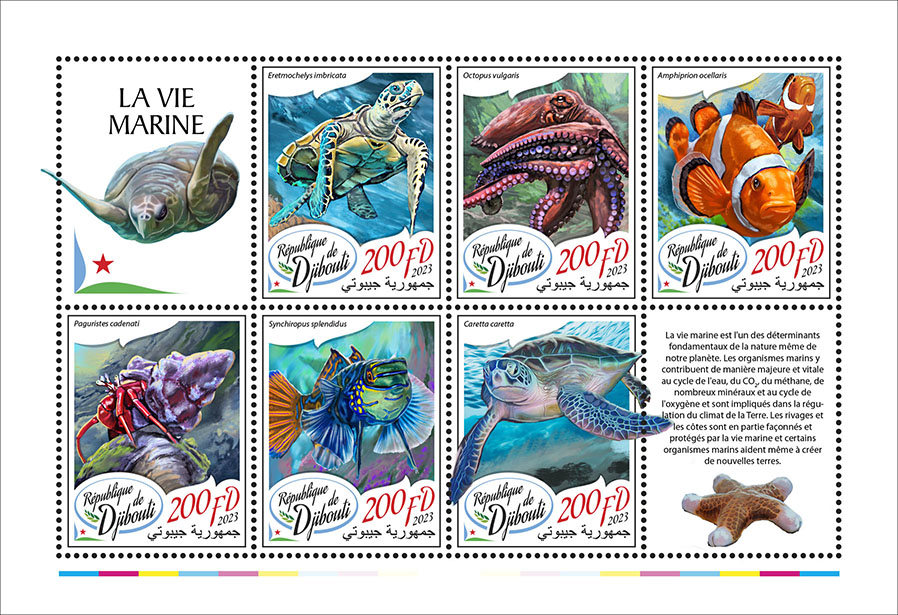 Meereslebewesen 2023, Schildkröten, Fische usw.
