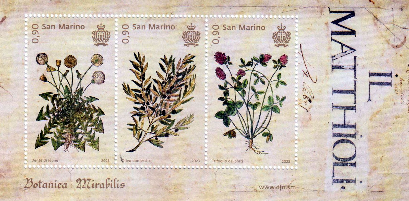Block: Botanica Mirabilis 2023, Blumen