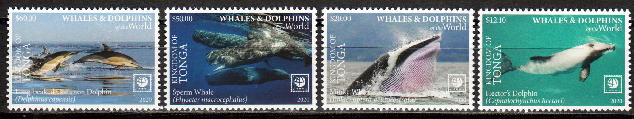 Delfine I 2020, Spinner Dolphin
