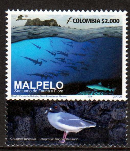 Malpelo, Hammerhaie