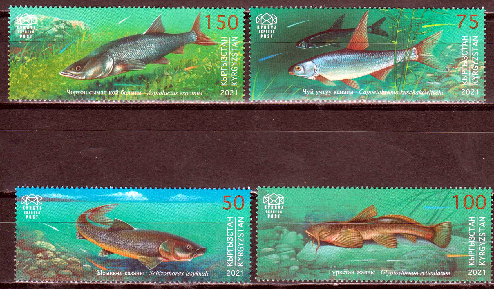 Fische 2021, Rotes Buch