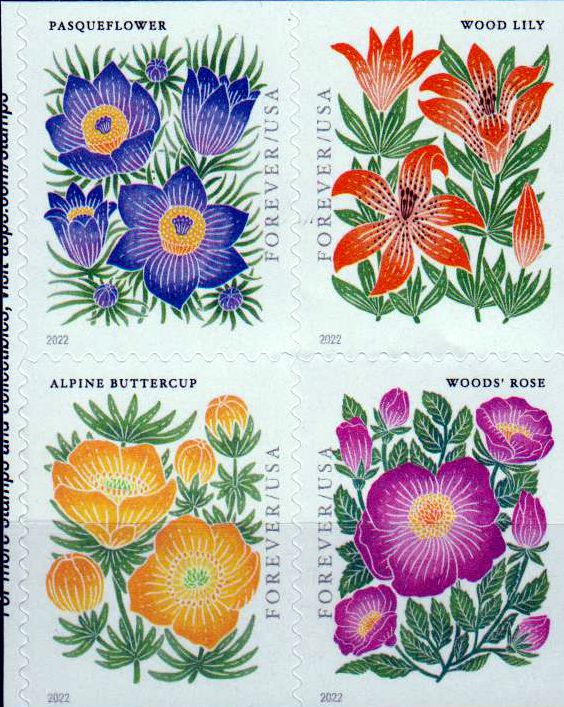 Bergblumen 2022, sk, a. MH