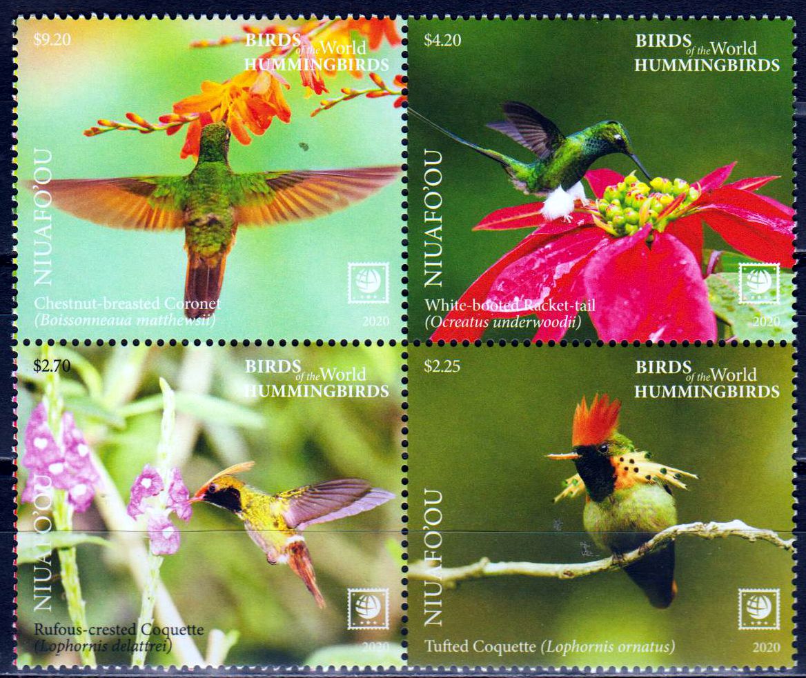 Kolibris 2020, Farbiger Rand