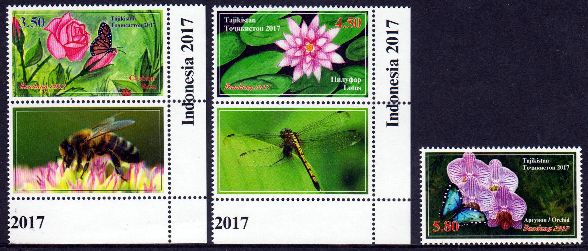 Blumen und Schmetterlinge 2017