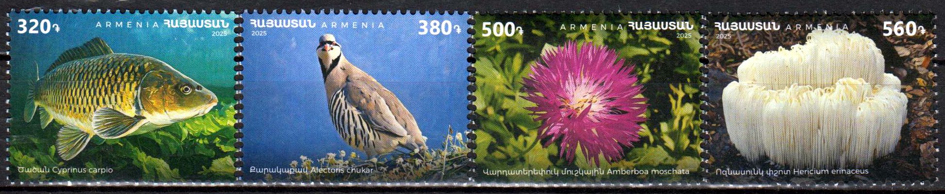 Flora und Fauna 2025