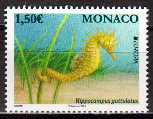 Europa 2021, Seepferdchen