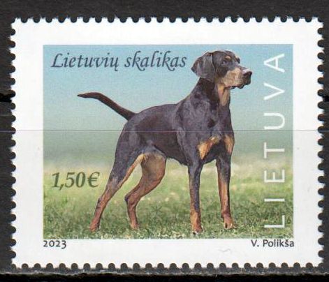Litauischer Jagdhund 2023