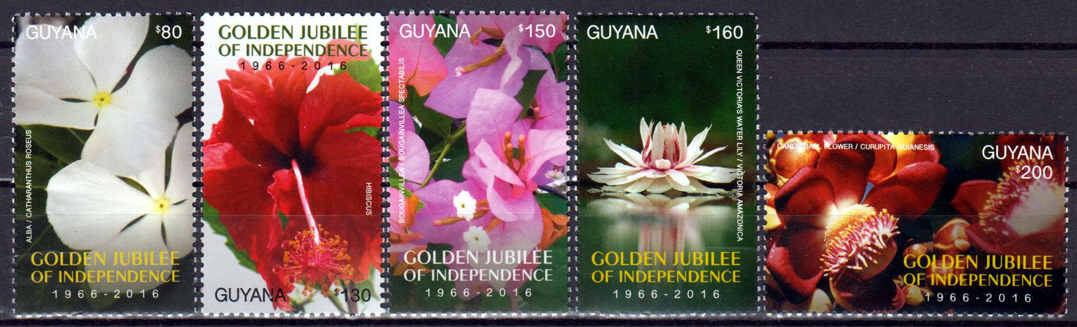 50 Jahre Unabhängigkeit (II), Blumen 2016