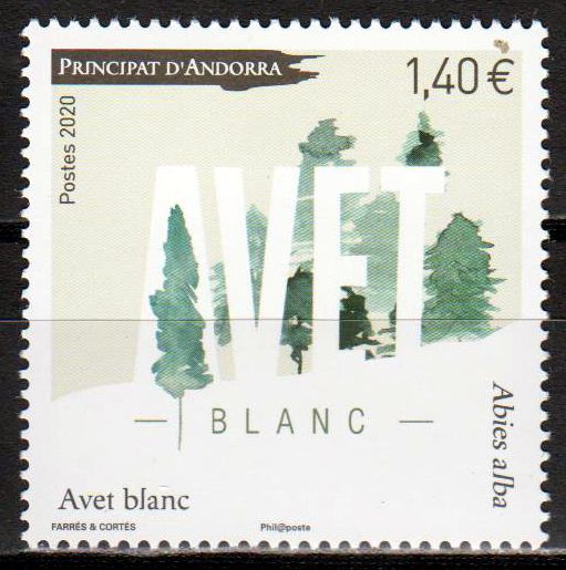 Avet Blanc 2020, Kunst, Weißtanne