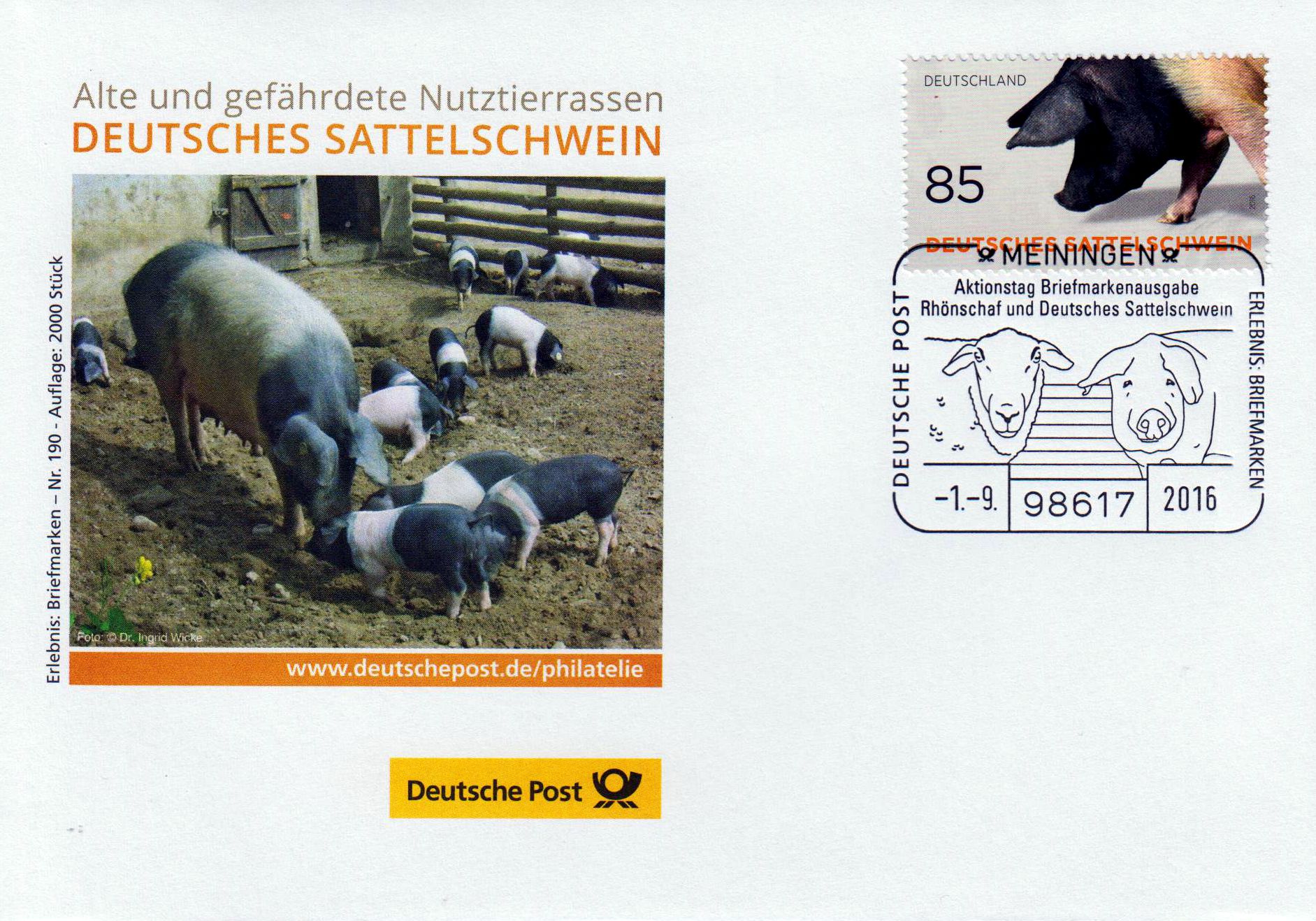 Nr. 190, Sattelschwein, SSt Meiningen