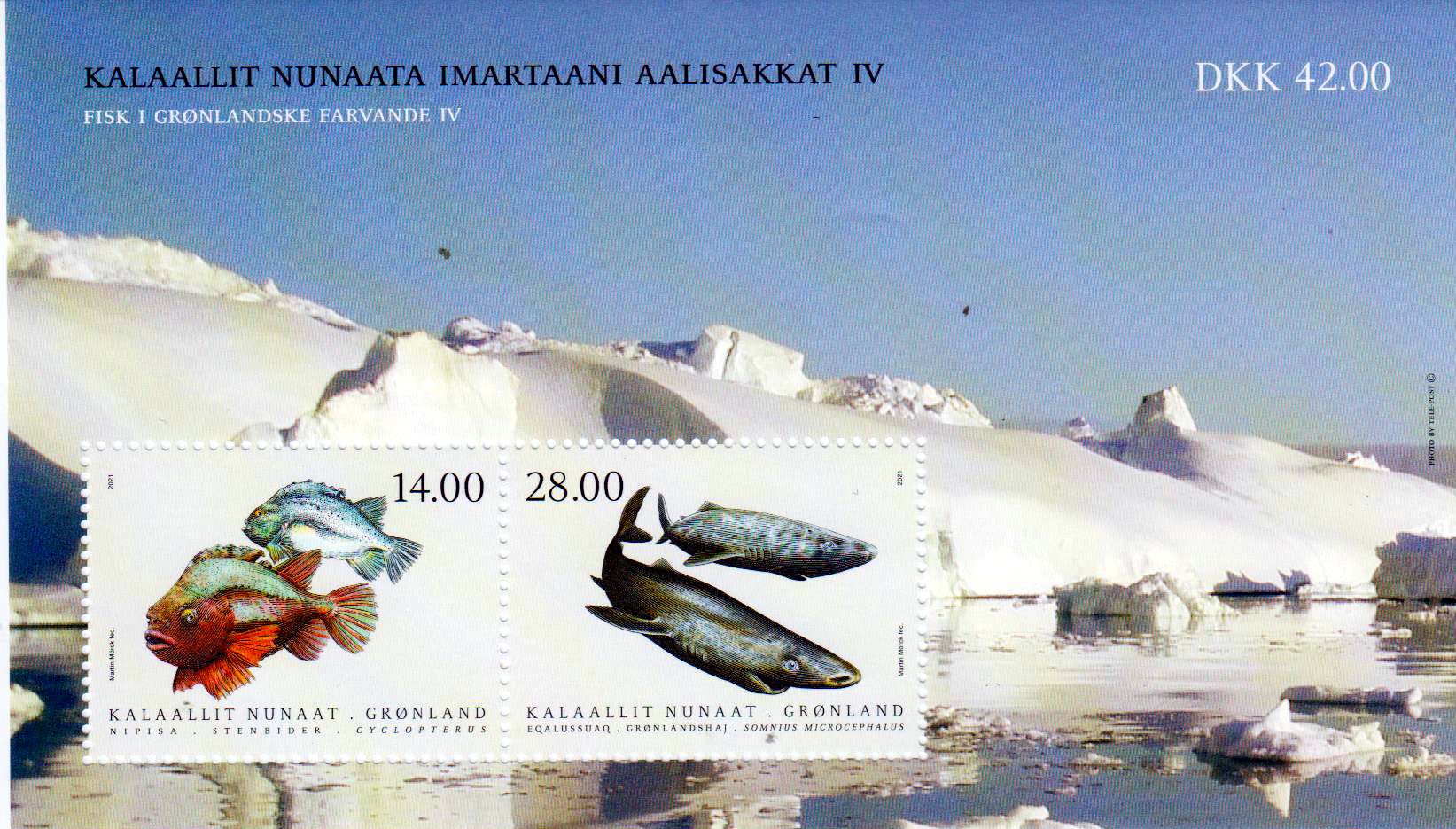 Block: Fische IV 2021, Seehase, Hai