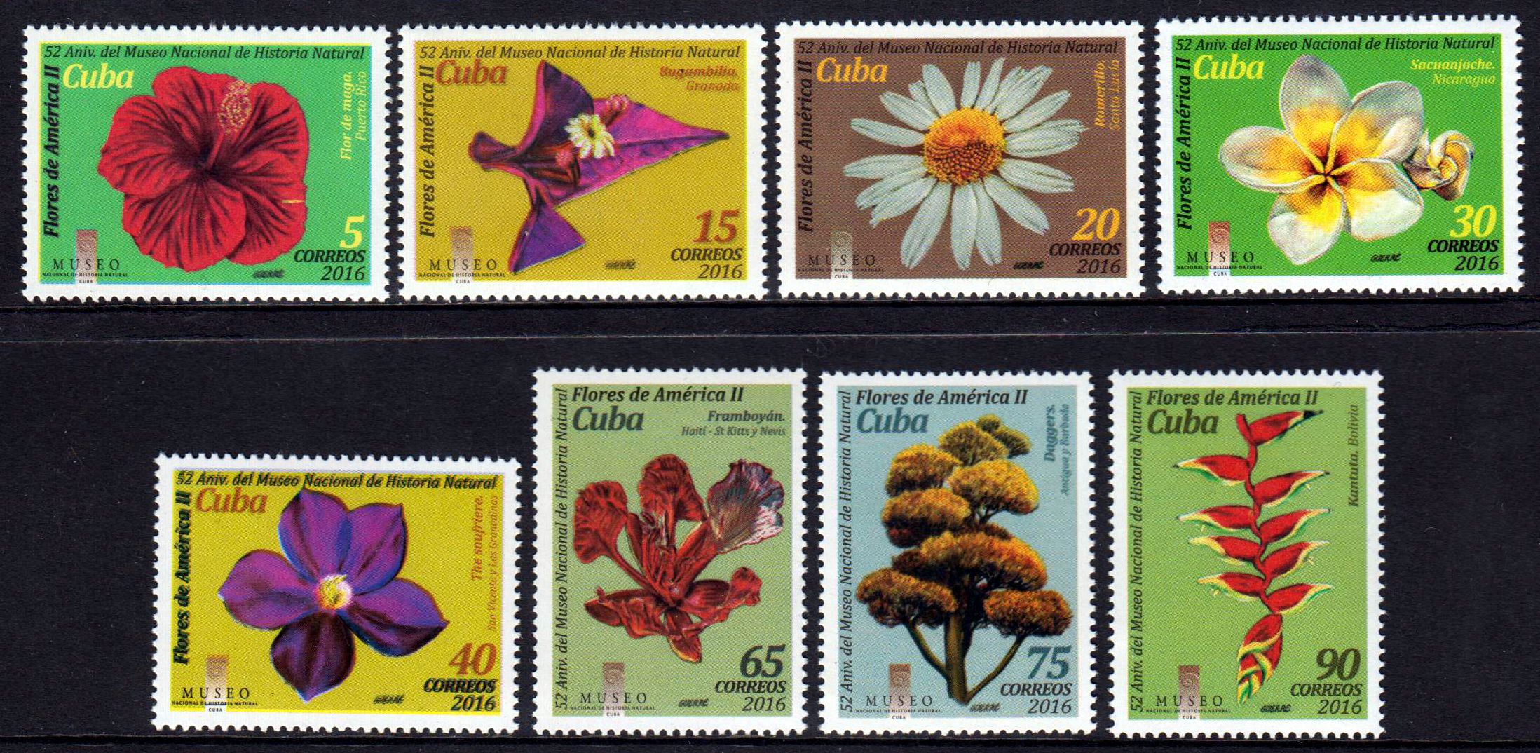 Amerikanische Flora II, Blumen