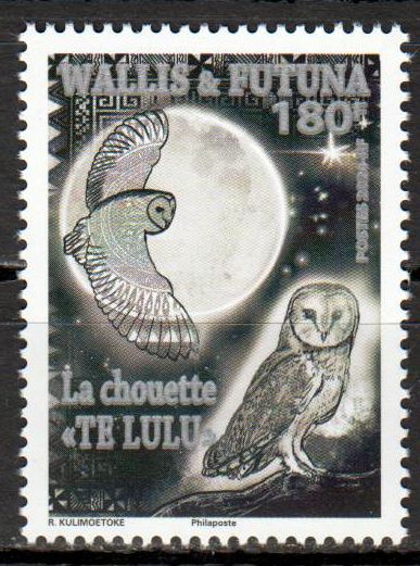 Eule Te Lulu 2024