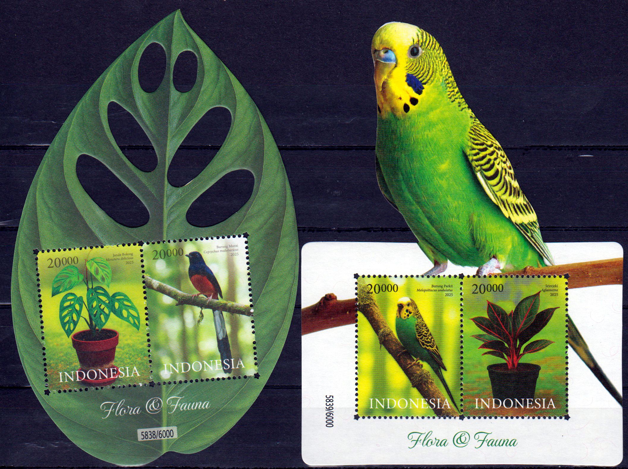 Block: Flora und Fauna 2025